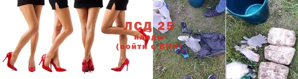 ПСИЛОЦИБИНОВЫЕ ГРИБЫ Белокуриха